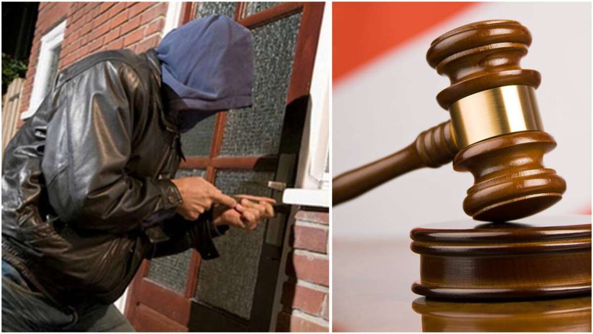 В Никополе зять вынес из дома тещи все сбережения и бытовую технику, чтобы отпраздновать Новый год