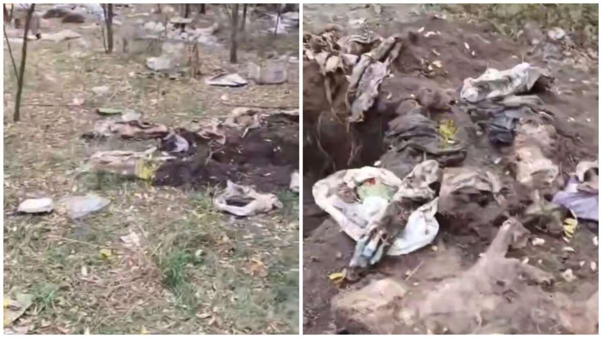 Притулок для тварин на Дніпропетровщині у центрі скандалу