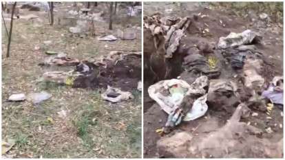 Притулок для тварин на Дніпропетровщині у центрі скандалу