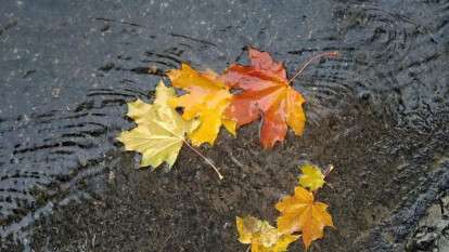 Погода у Дніпрі 27 жовтня 2025