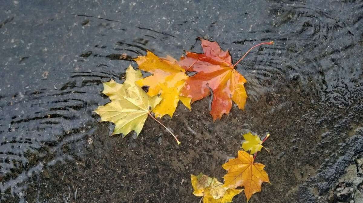 Погода в Днепре 27 октября 2025