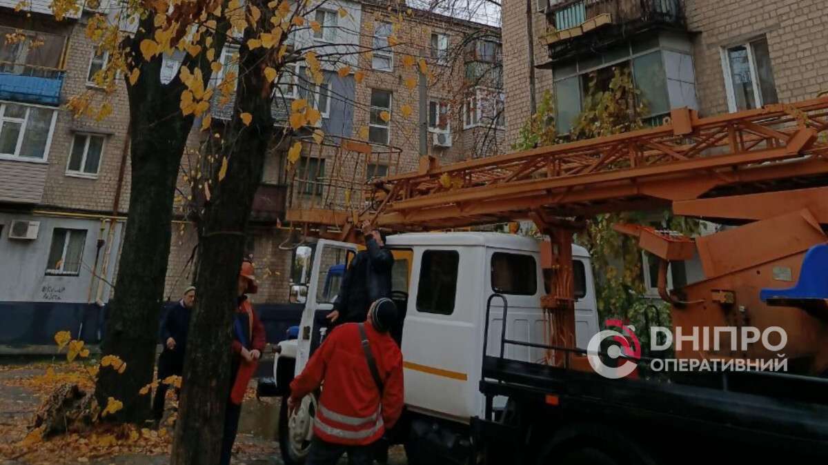 Врятували кота, який провів на дереві понад добу, в АНД районі