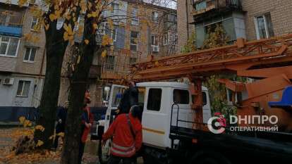 Спасли кота, который провел на дереве более суток, в АНД районе