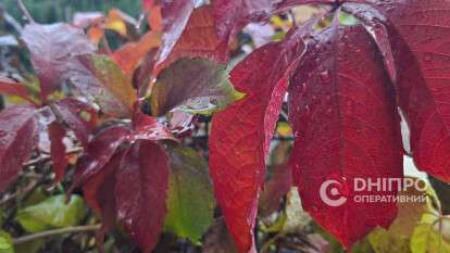 Погода у Дніпрі дощ