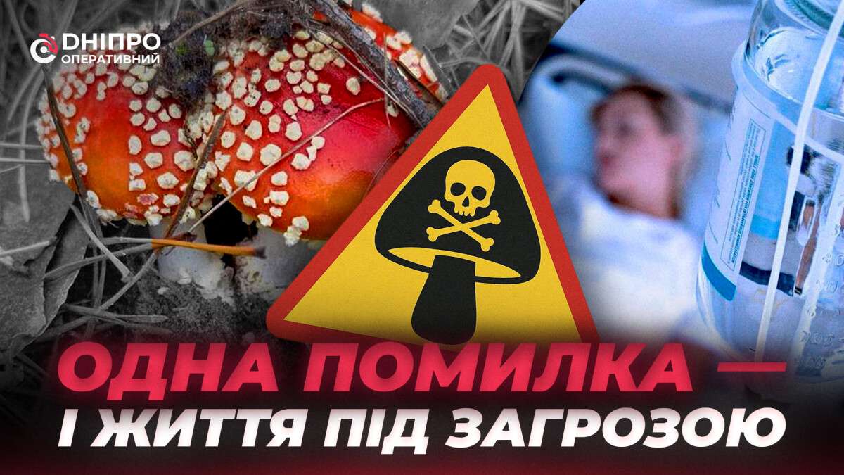 Как не отравиться грибами