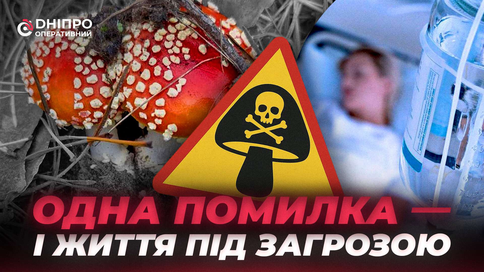 Небезпечний урожай: що потрібно знати дніпрянам, щоб не отруїтися грибами восени
Осінь – традиційний сезон «тихого полювання», коли ліси Дніпропетровщини наповнюються грибниками. Для багатьох українців збирання грибів – це не просто…