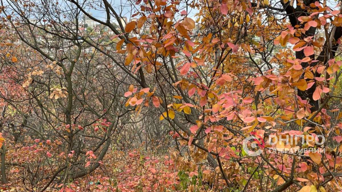 Погода у Дніпрі осінь