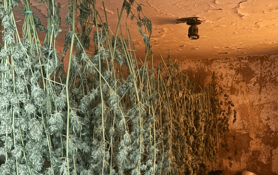 Поймали наркоторговца на Днепропетровщине