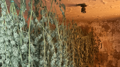 Поймали наркоторговца на Днепропетровщине