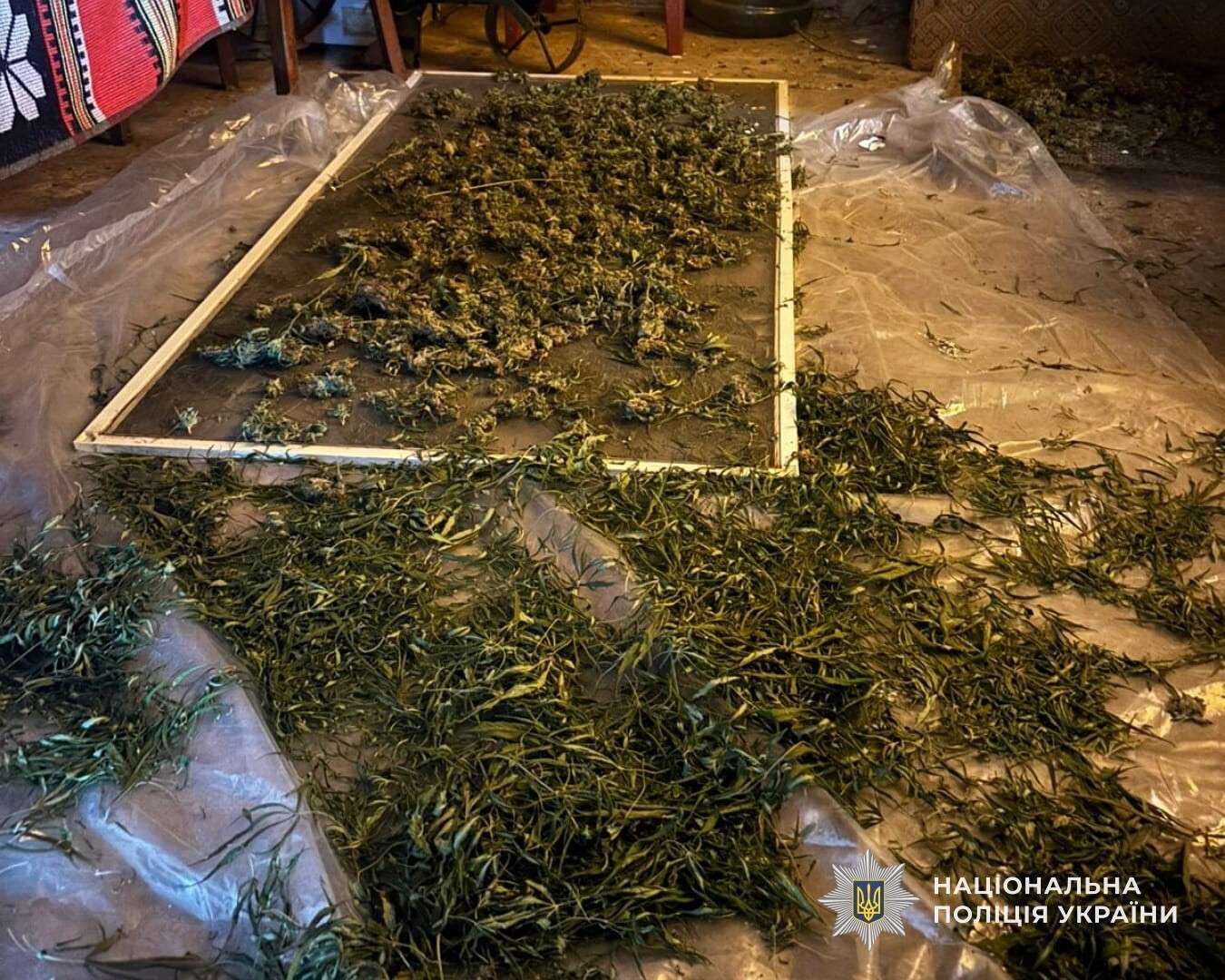 Спіймали наркоторговця на Дніпропетровщині