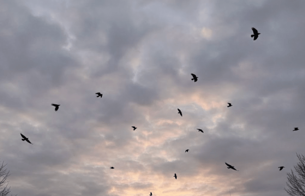 Погода в Дніпрі листопад