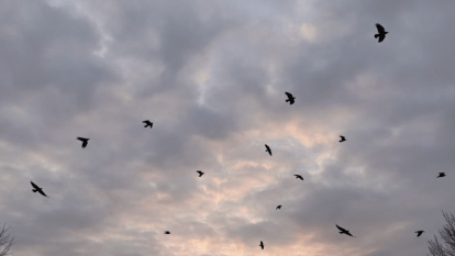 Погода в Дніпрі листопад