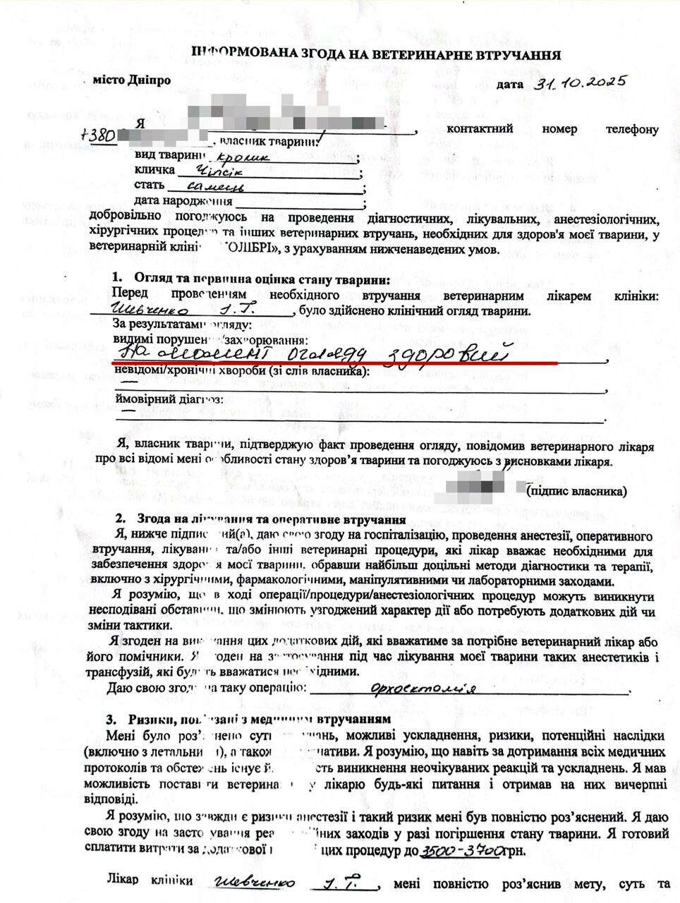 Ветклиника 