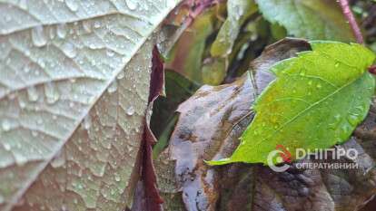 Погода у Дніпрі дощ