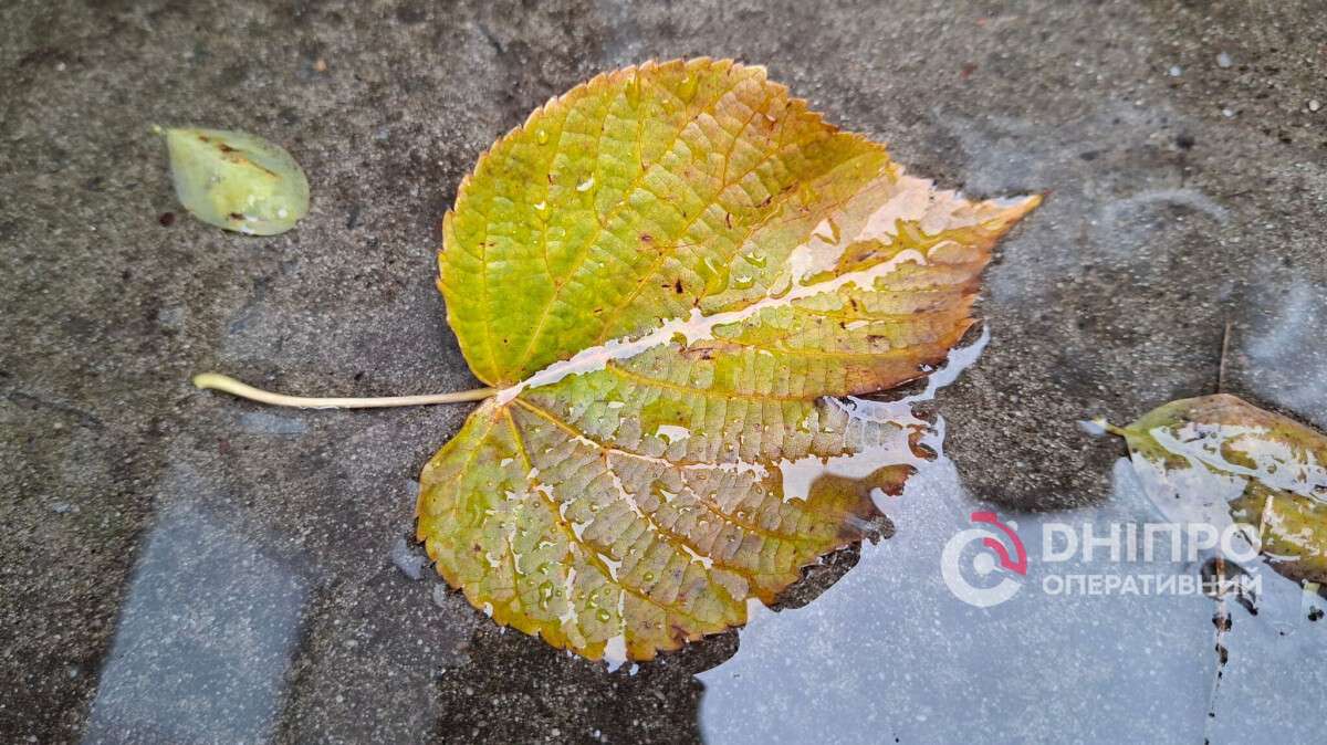 Погода в Днепре осень