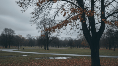 Погода в Днепре ноябрь