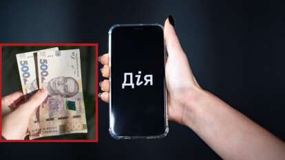 "Дія": стався збій 15.11.2025 року - що робити тим, хто не може оформити "Зимову підтримку"