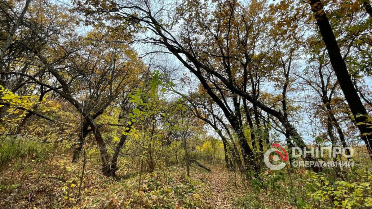 Погода у Дніпрі осінь