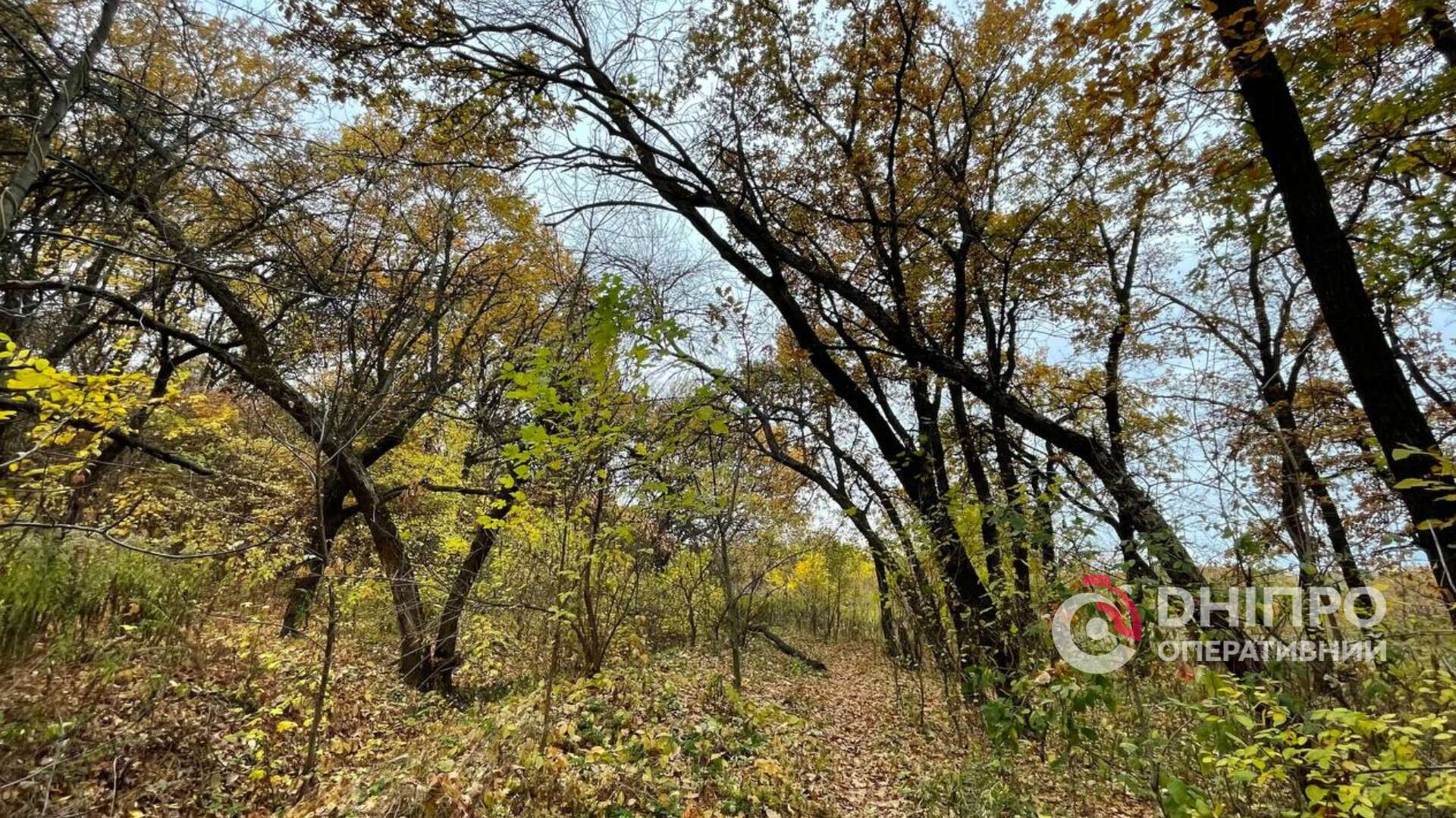 Прогноз погоди у Дніпрі на сьогодні, 16 листопада 2025
У неділю, 16 листопада, у Дніпрі вранці небо закриють густі хмари, і сонце буде з'являтися рідко. Переважна частина дня мине…