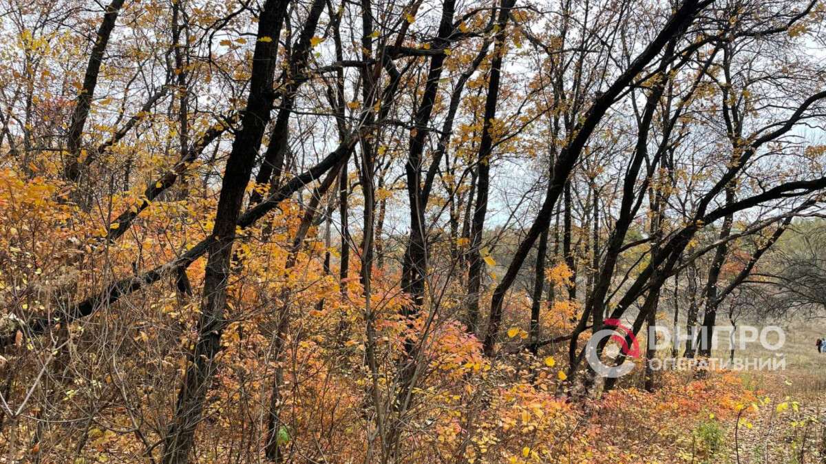 Погода у Дніпрі осінь