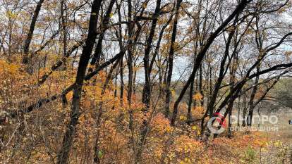 Погода в Днепре осень