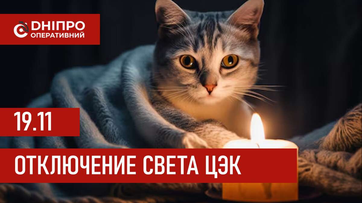 до сайт цек 19.11 рус