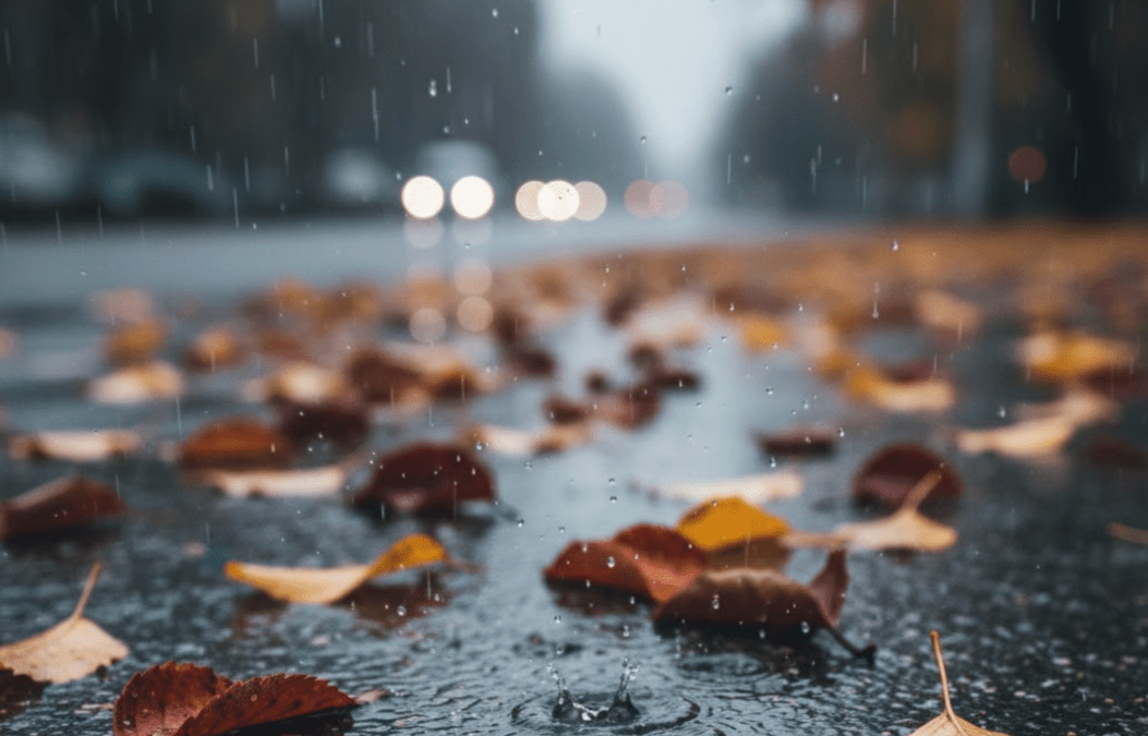 Погода в Дніпрі листопад