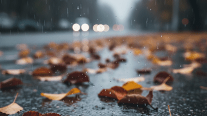 Погода в Дніпрі листопад