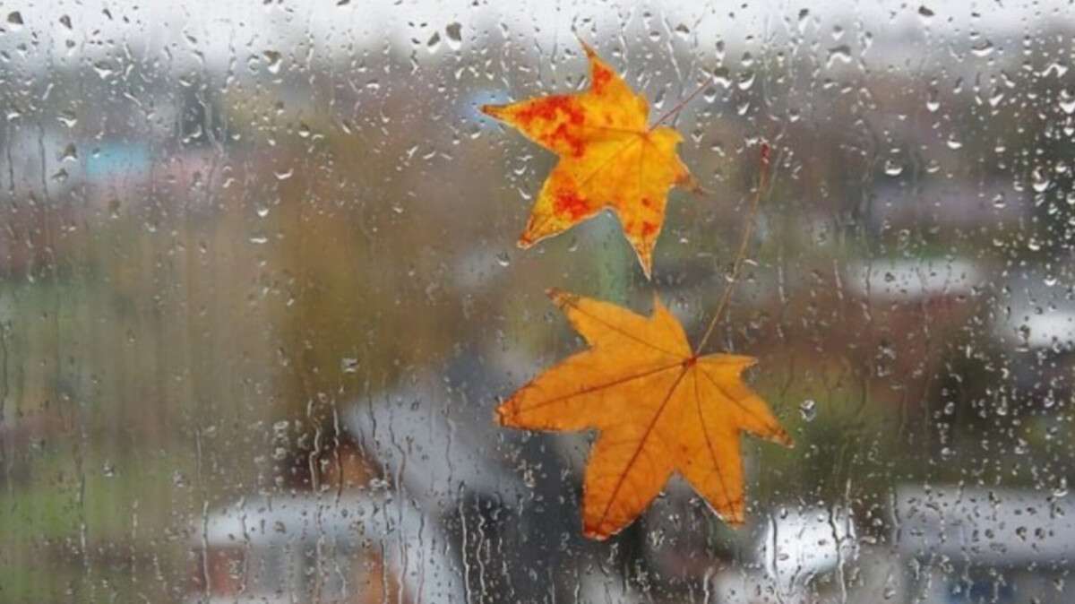 Погода у Дніпрі дощ