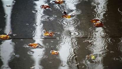 Погода в Днепре осень