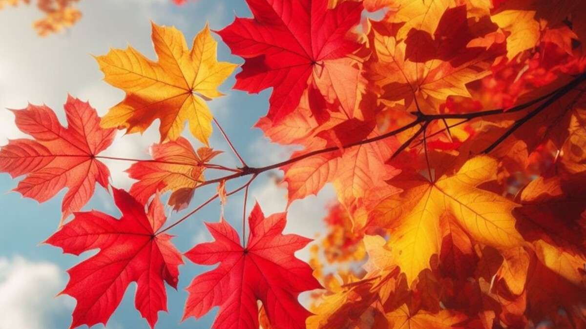 Погода у Дніпрі осінь