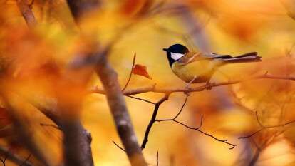 Погода в Днепре ноябрь