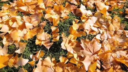 Погода в Днепре ноябрь