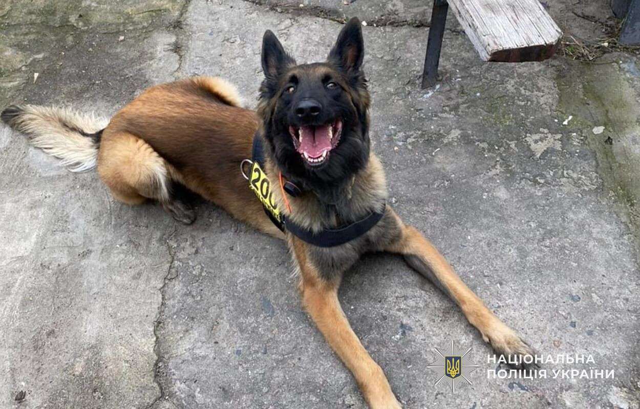 Знайшли близнюків