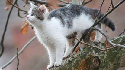 Погода в Дніпрі грудень