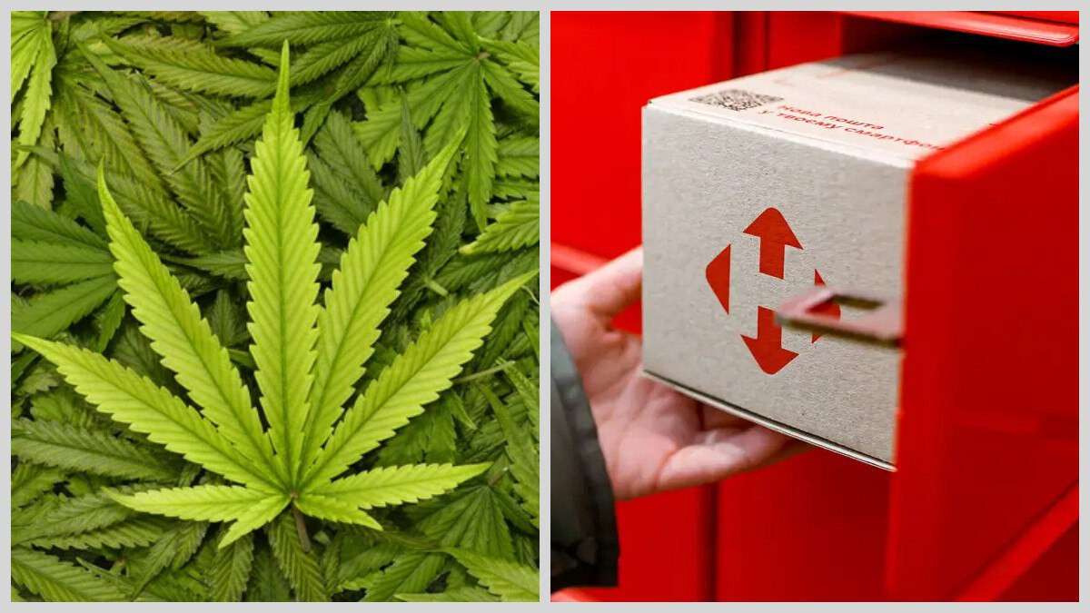 Мешканець Дніпра отримав канабіс через поштомат Нової Пошти та опинився в суді