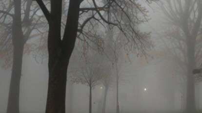 Погода в Днепре туман