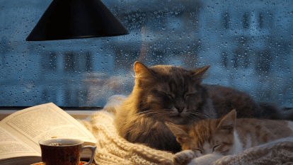 Погода в Днепре декабрь