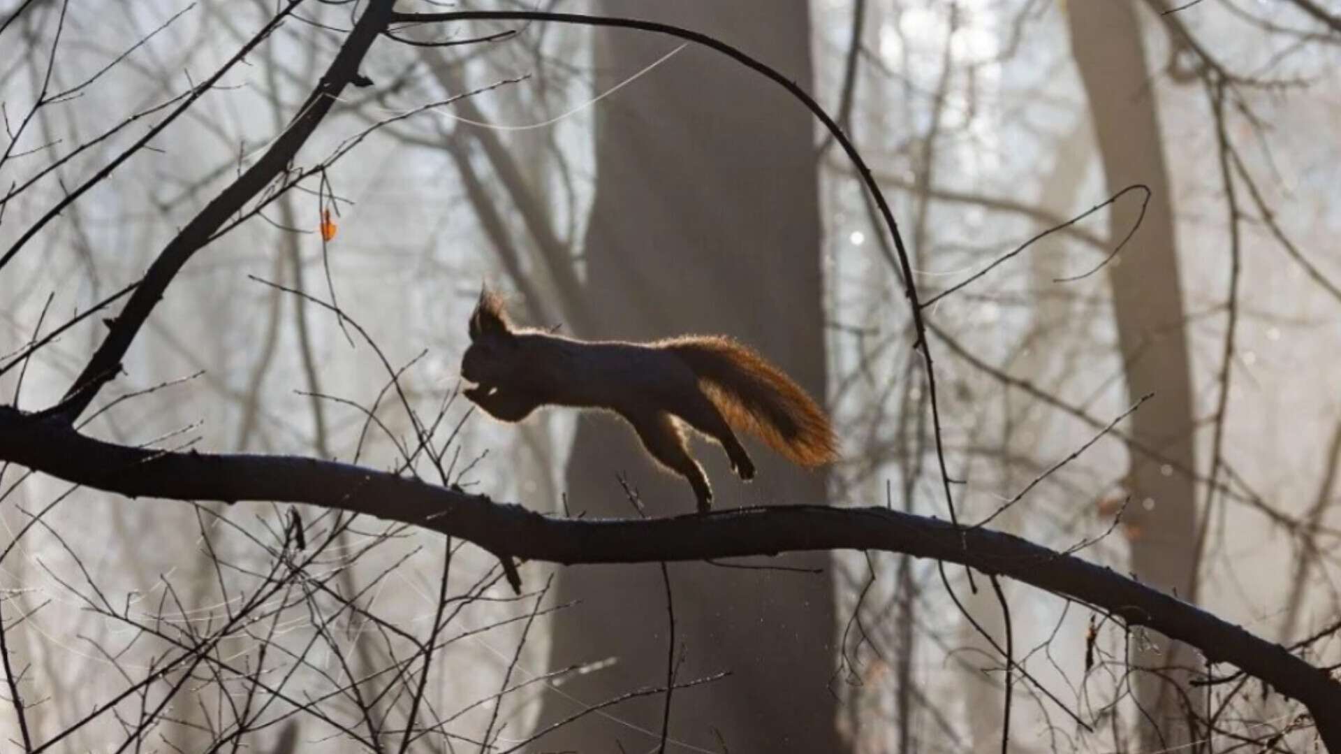 Прогноз погоди у Дніпрі на сьогодні, 7 грудня 2025
У неділю, 7 грудня,протягом усього дня небо у Дніпрі буде вкрите хмарами. Без опадів. Чи чекати сьогодні магнітних бур, детальніше…