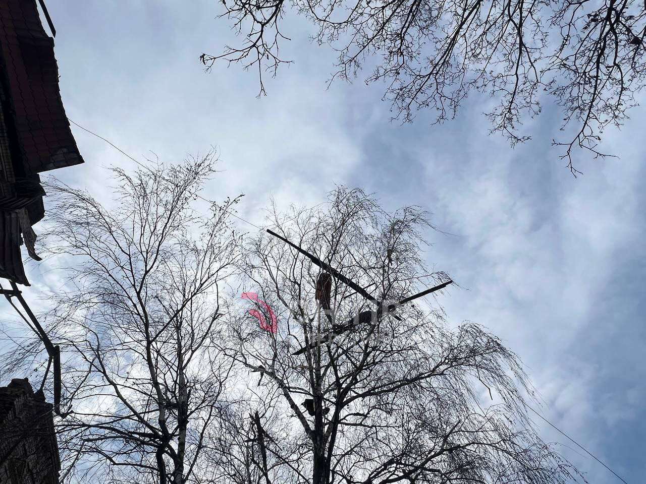 IMAGE 2025-12-08 10:54:34