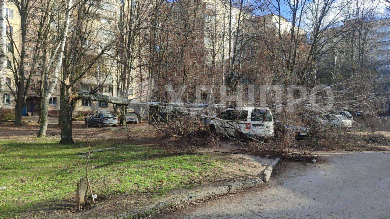 В Днепре 13 декабря бурлит сильный ветер