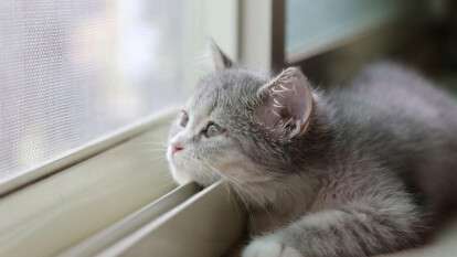 Погода в Днепре декабрь