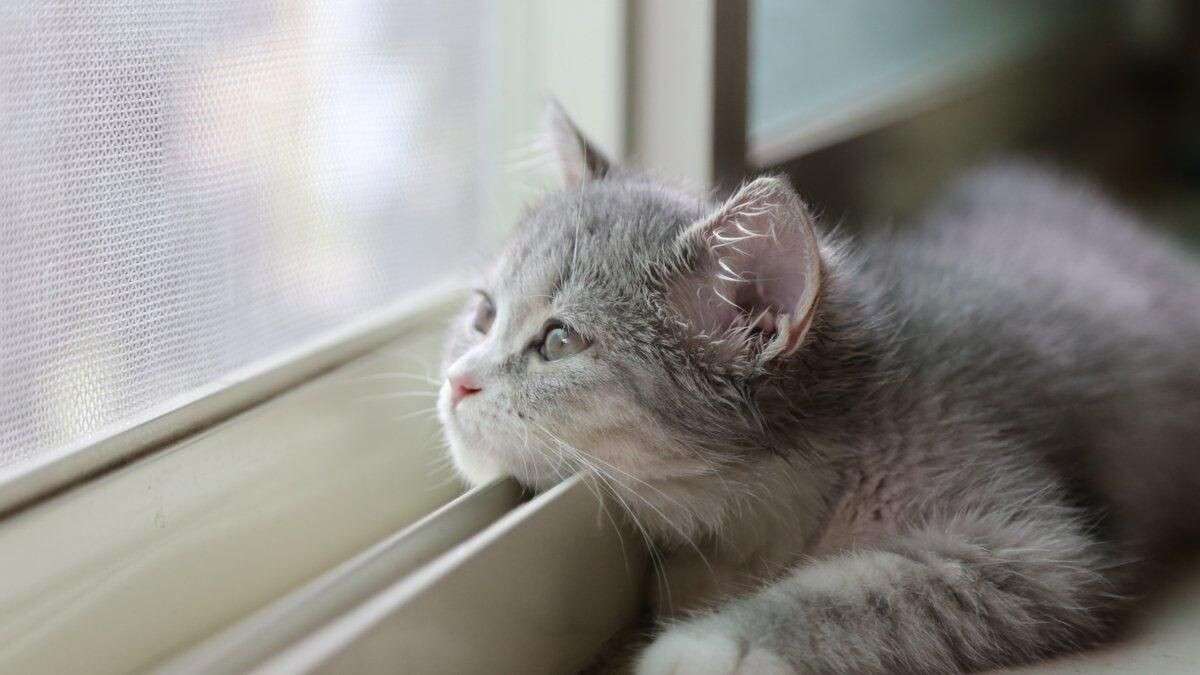 Погода в Дніпрі грудень