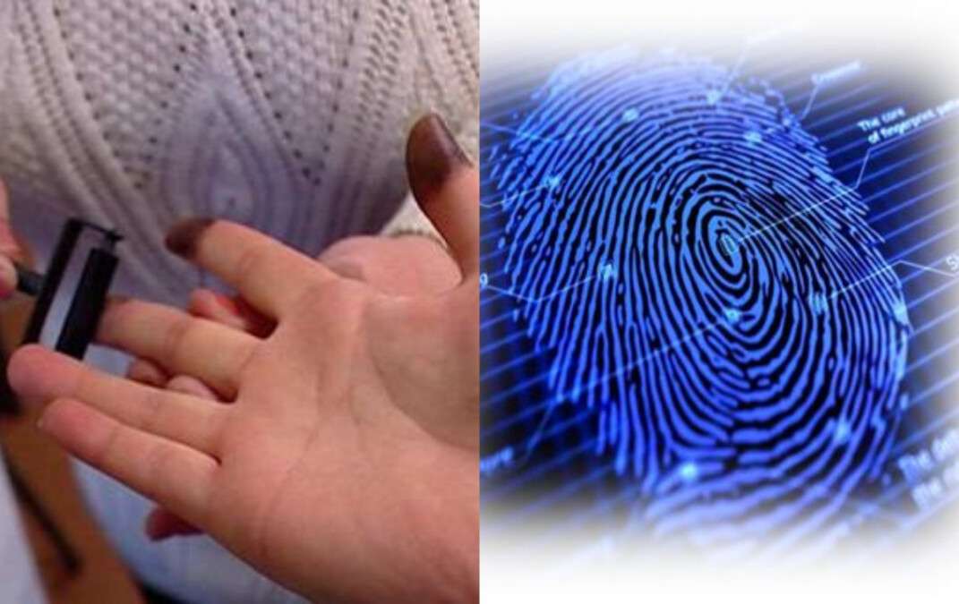 Дактилоскопічна експертиза