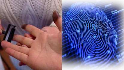 Дактилоскопическая экспертиза