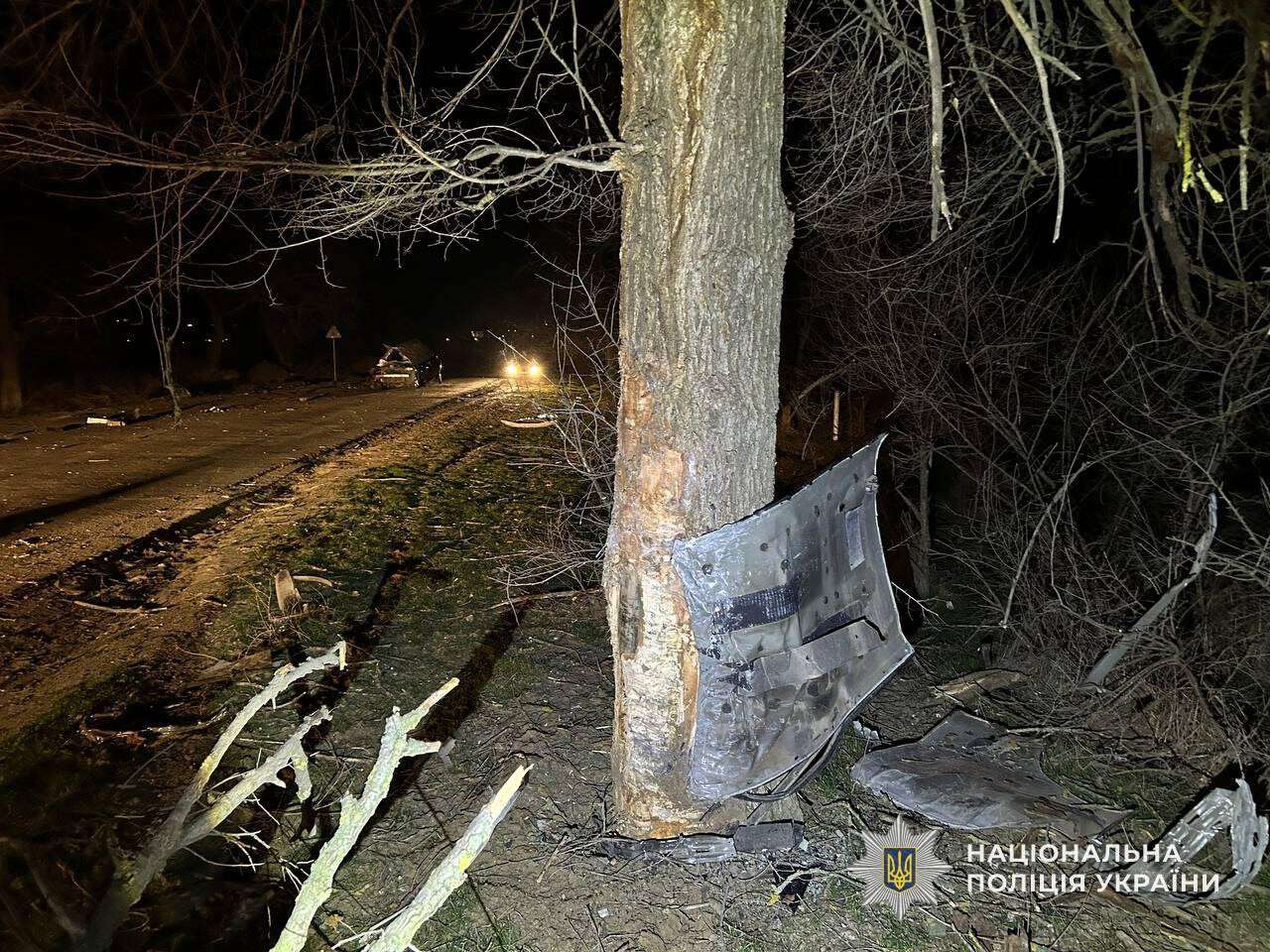 Смертельна ДТП на Дніпропетровщині 24 грудня: Infiniti влетів у дерево