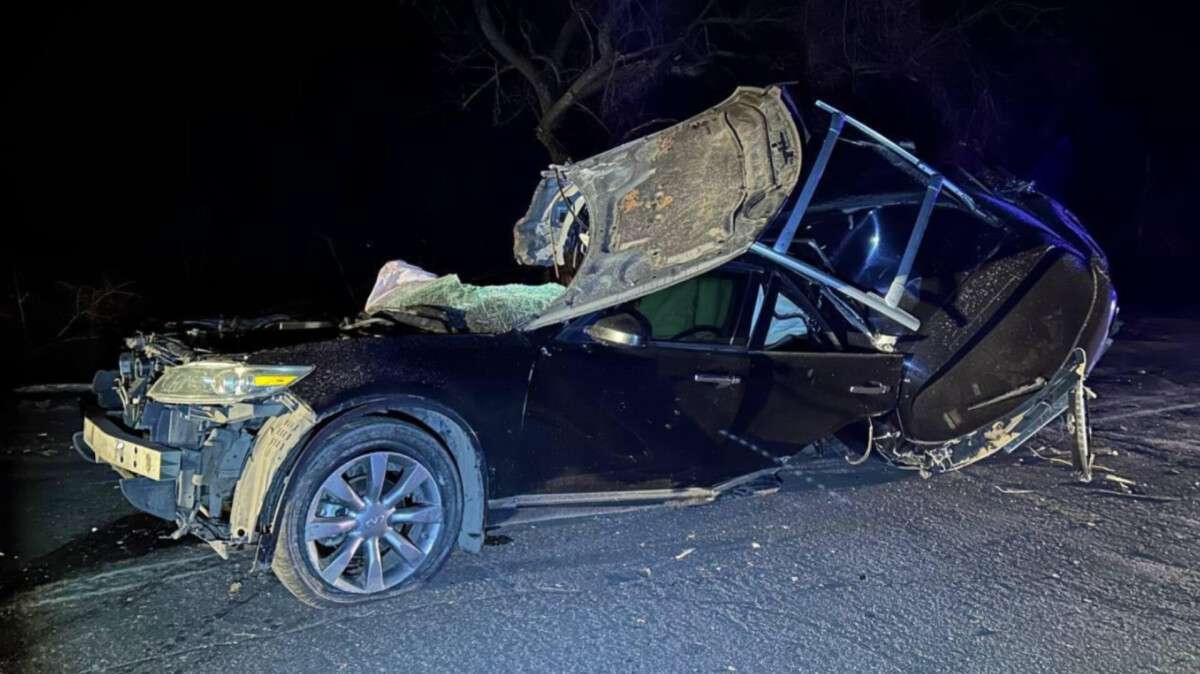 Смертельна ДТП на Дніпропетровщині 24 грудня: Infiniti влетів у дерево