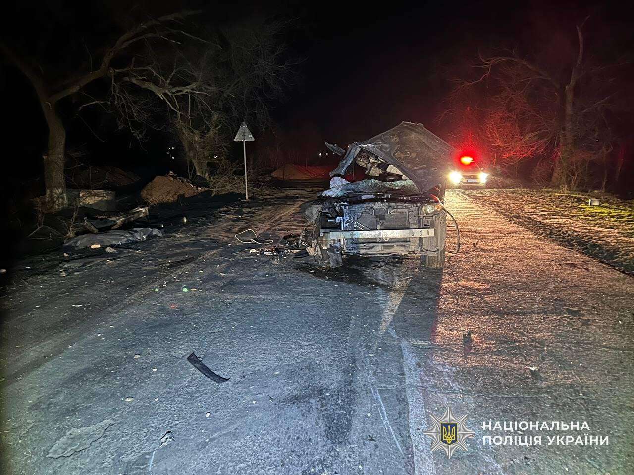 Смертельна ДТП на Дніпропетровщині 24 грудня: Infiniti влетів у дерево