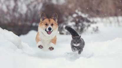 Погода в Дніпрі січень