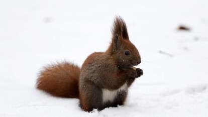 Погода в Днепре январь